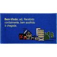 tapete-vizapi-un-viena-dicionario-33x60-multicolorido-0963-0963-1