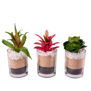 arranjo-permanente-vizapi-kit-c-3-suculenta-vaso-vidro-3-camadas-7x14-1885-1885-1