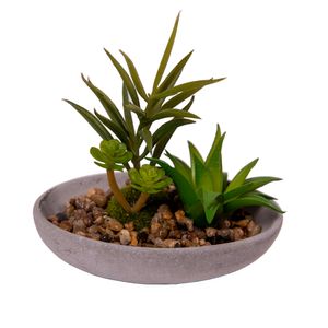 arranjo-permanente-vizapi-un-suculenta-vaso-cimento-prato-cream-14x13-1890-1890-1