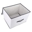 caixa-organizadora-vizapi-un-classic-g-40x30x28-cm-branco-cinza-1939-1939-2