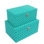 caixa-organizadora-vizapi-kit-c-2-decor-m26x15x12-g30x20x15-cm-azul-tiffany-2167-2167-1