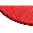 tapete_vizapi_varanasi_60cm_rose_0626--2-